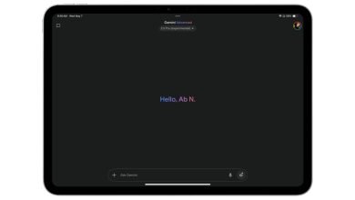 لدى Google Gemini الآن تطبيق iPad لدى Google Gemini الآن تطبيق iPad