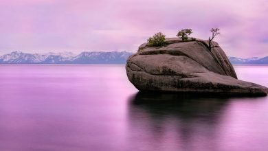 احصل على مزاج لماكوس ليك تاهو مع هذه الخلفيات احصل على مزاج لماكوس ليك تاهو مع هذه الخلفيات